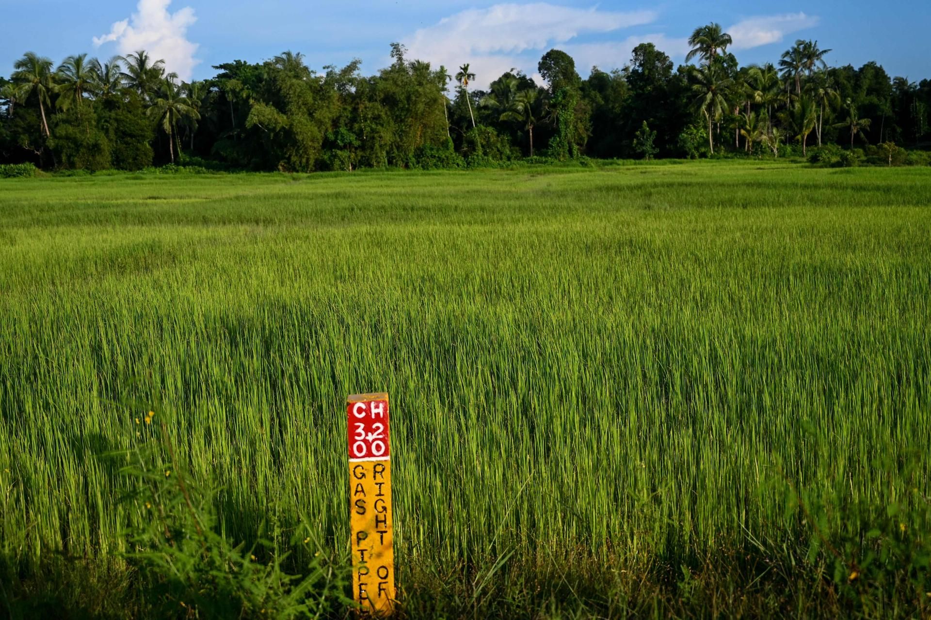 myanmar afp