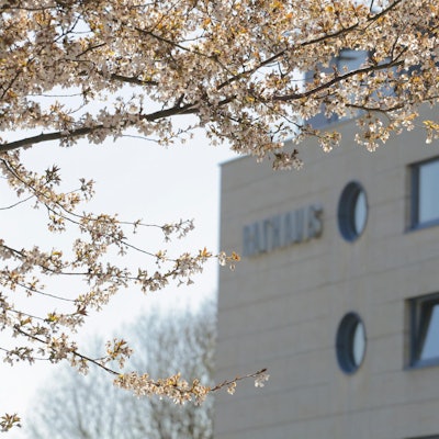 Rathaus Lindlar Frühling