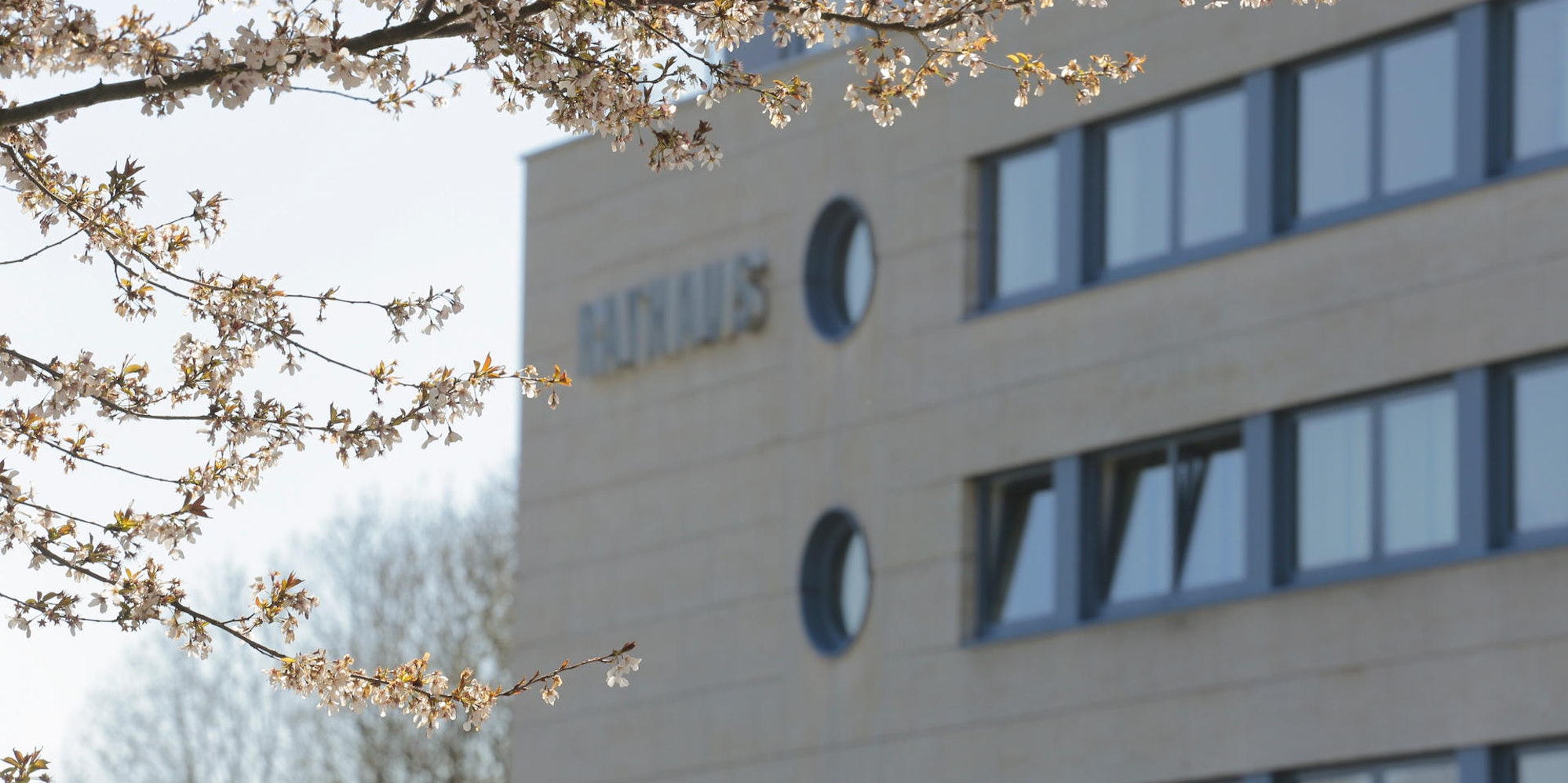 Rathaus Lindlar Frühling