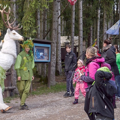 Hellenthal Wildgehege Hubertusna_002