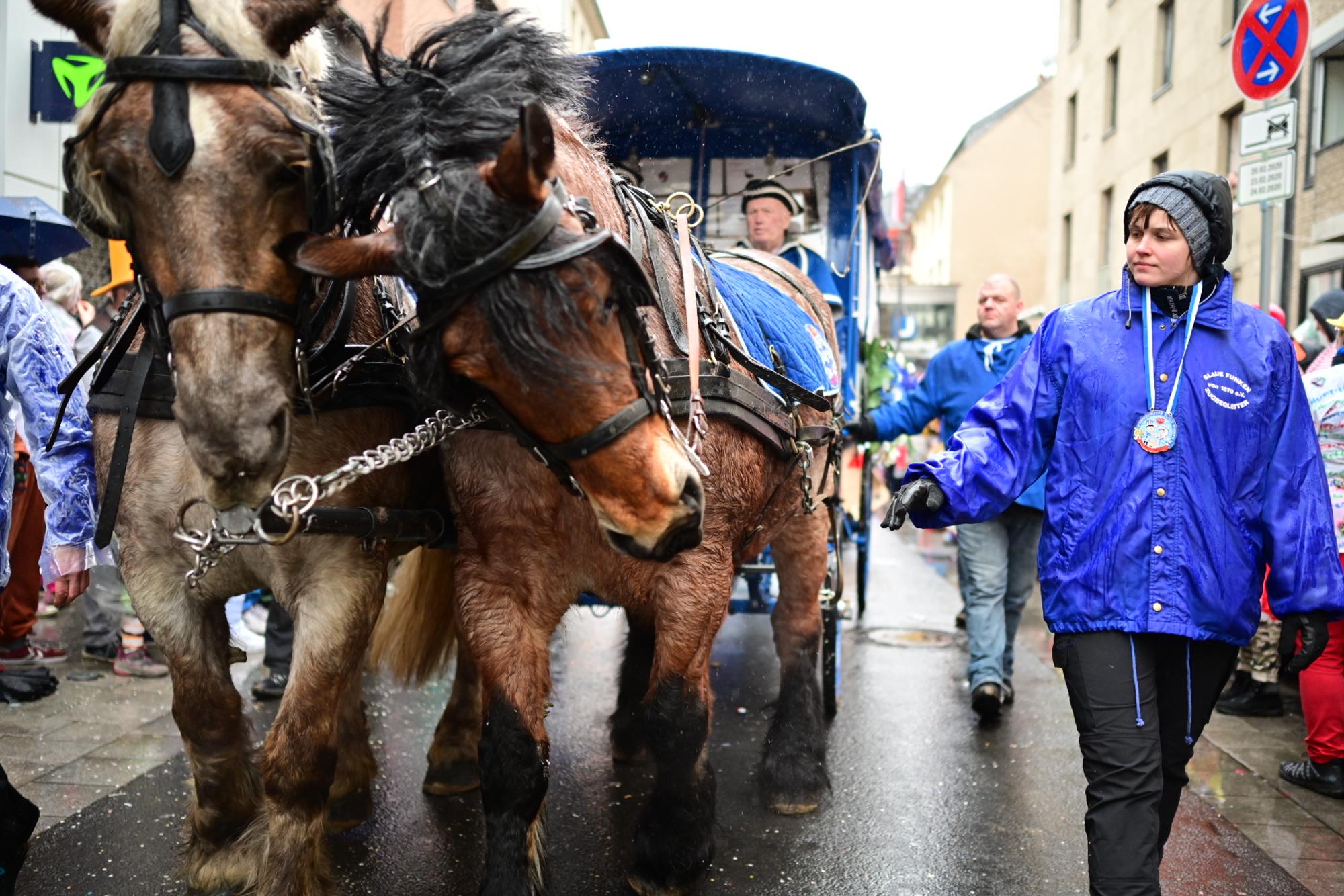Pferde Zug