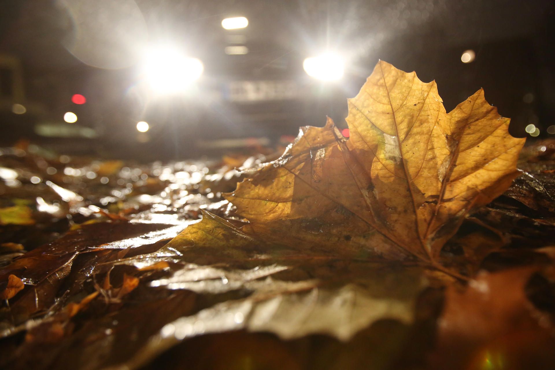 herbstbild
