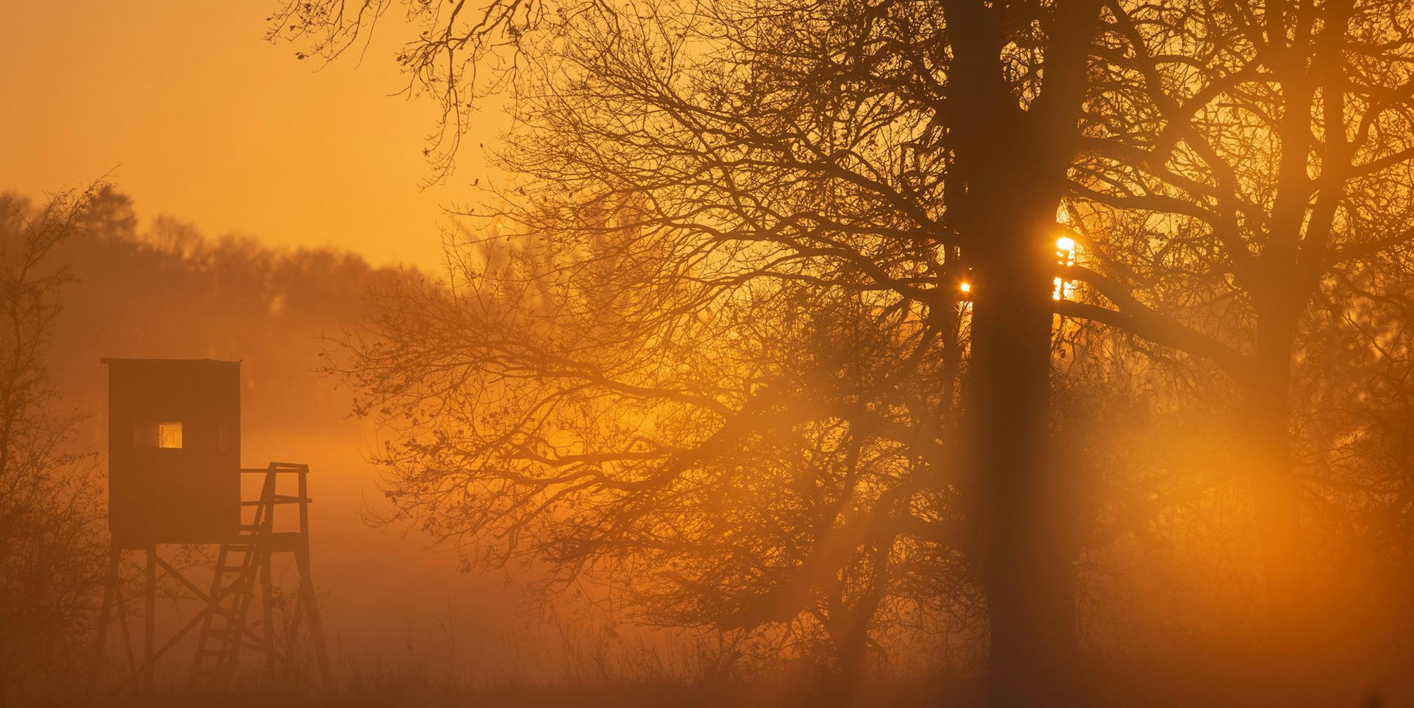 Wald Symbol DPA 100121