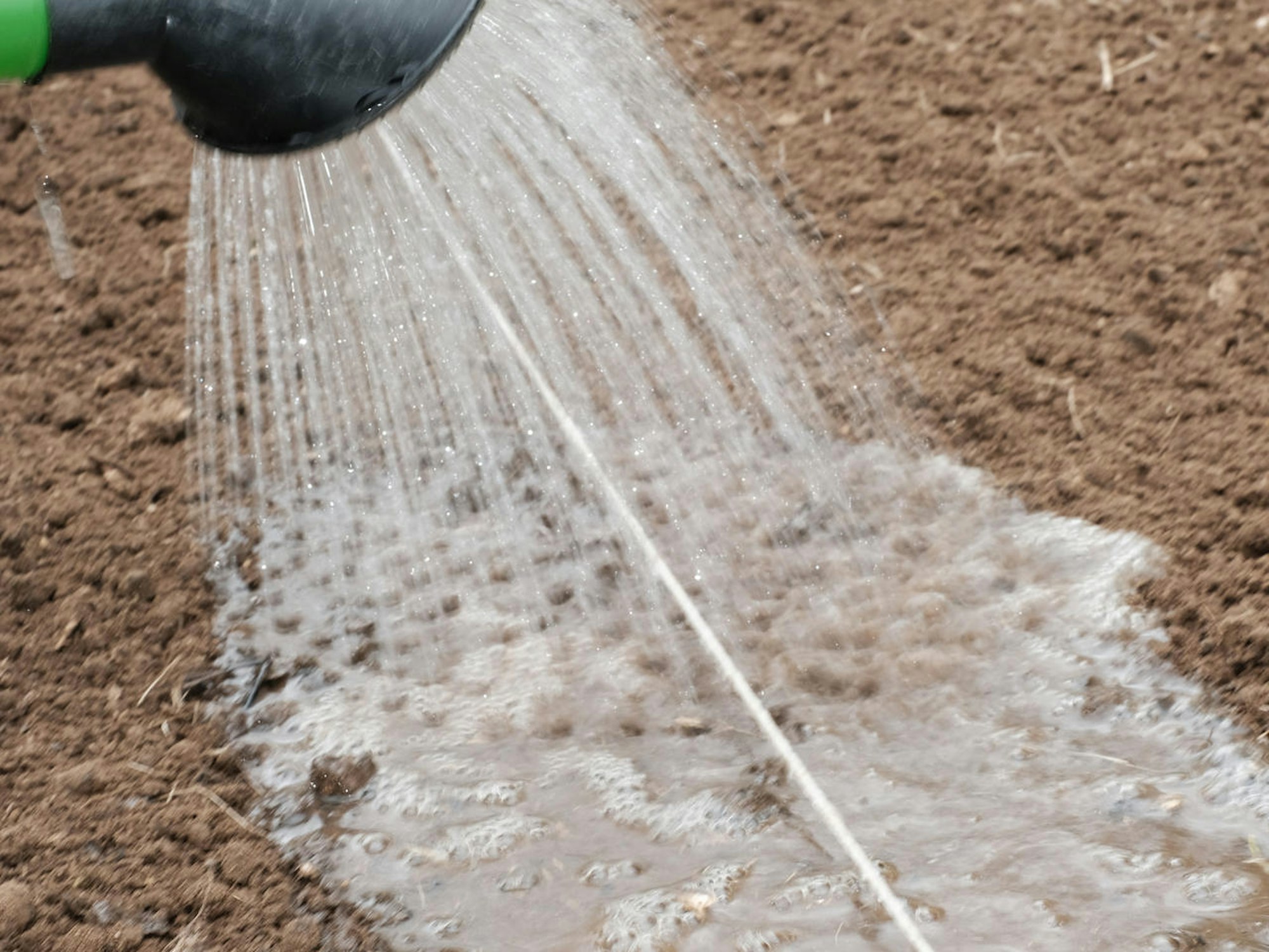 20200904-MAX-gartenkalender-16