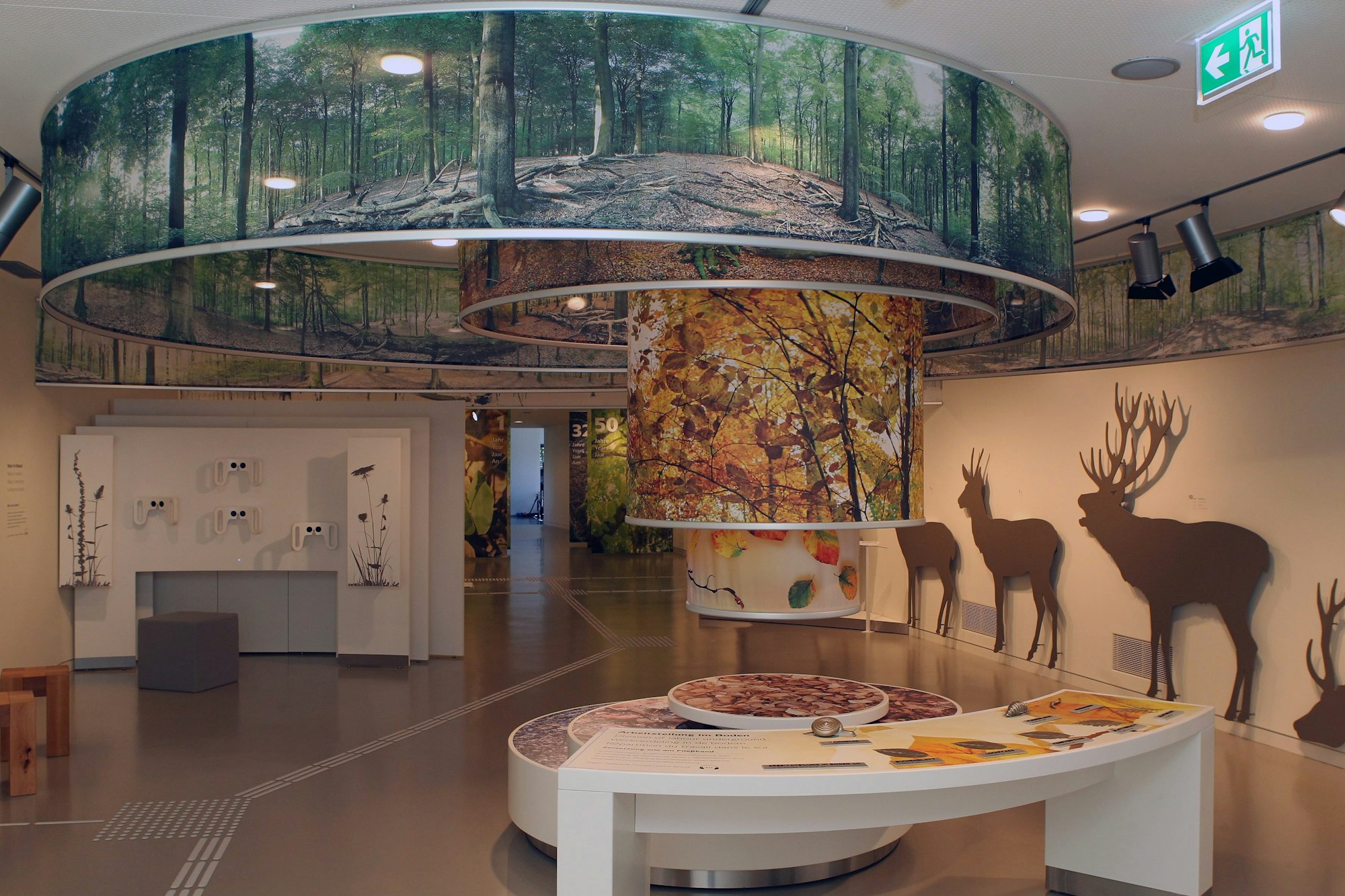 Vogelsang Ausstellung