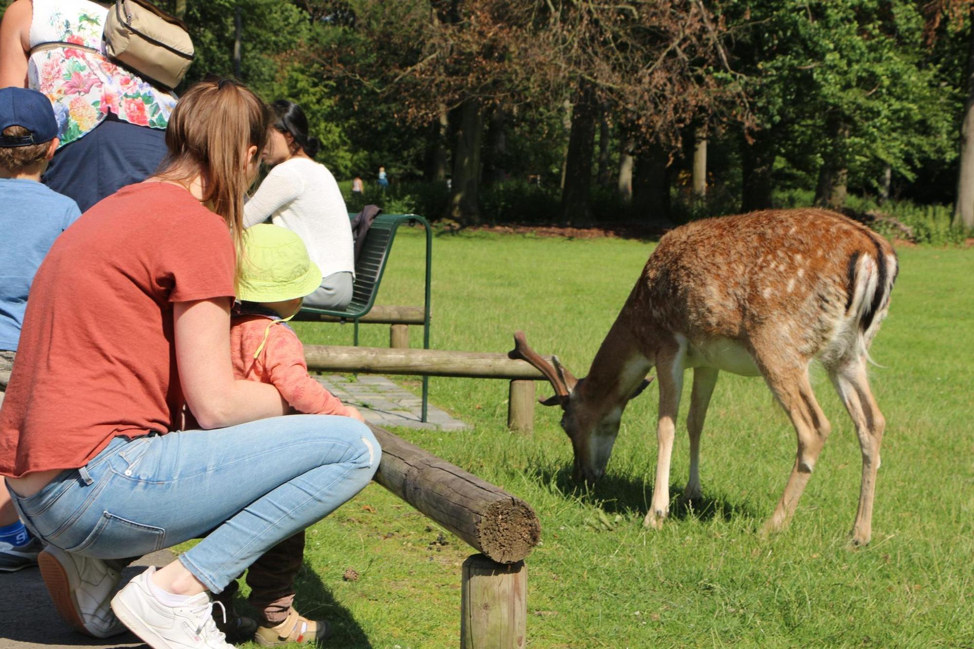 Tierpark-Ebert