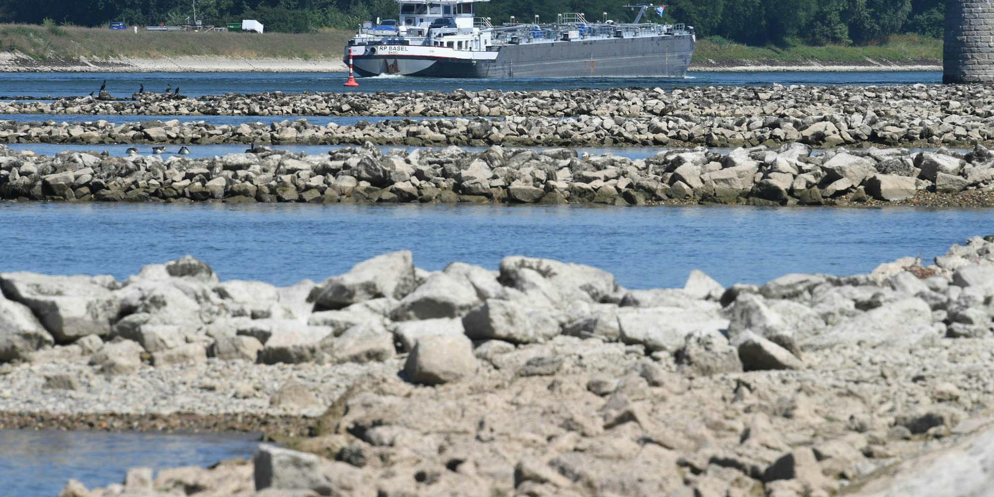 trockener Rhein