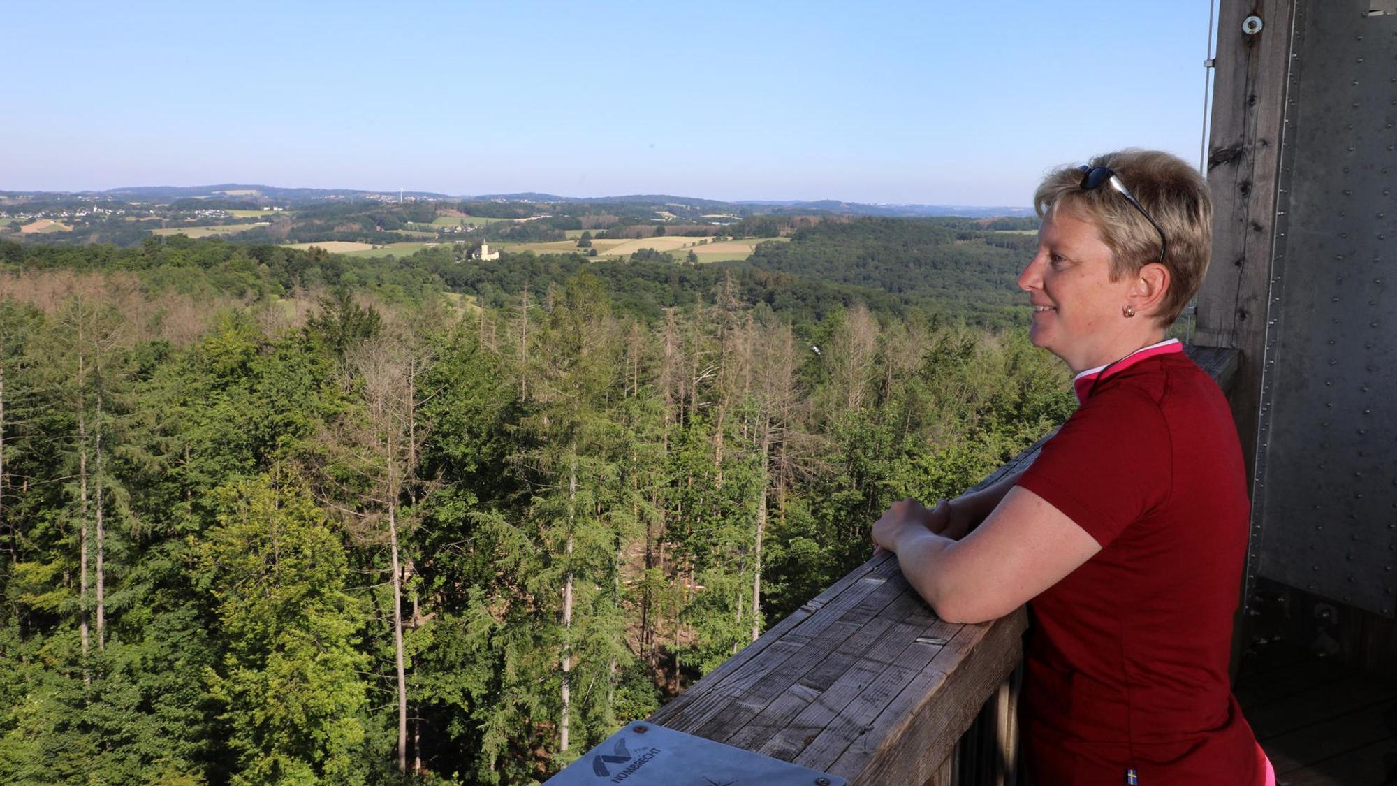 panoramasteig blick