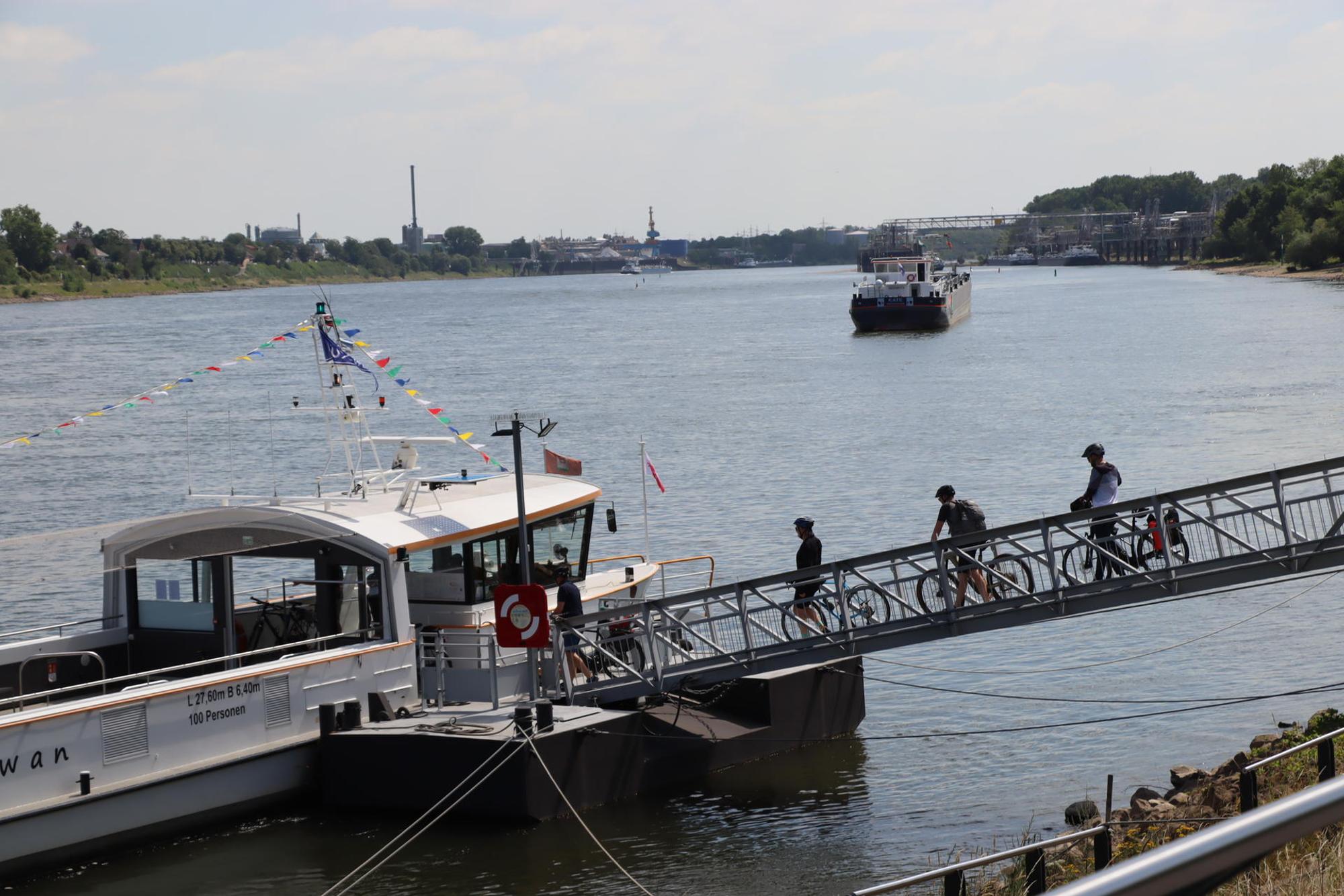Wes-Rheinschwan-Anlieger_005