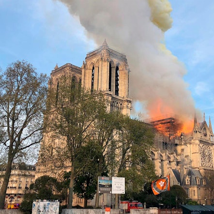 Feuer Notre Dame
