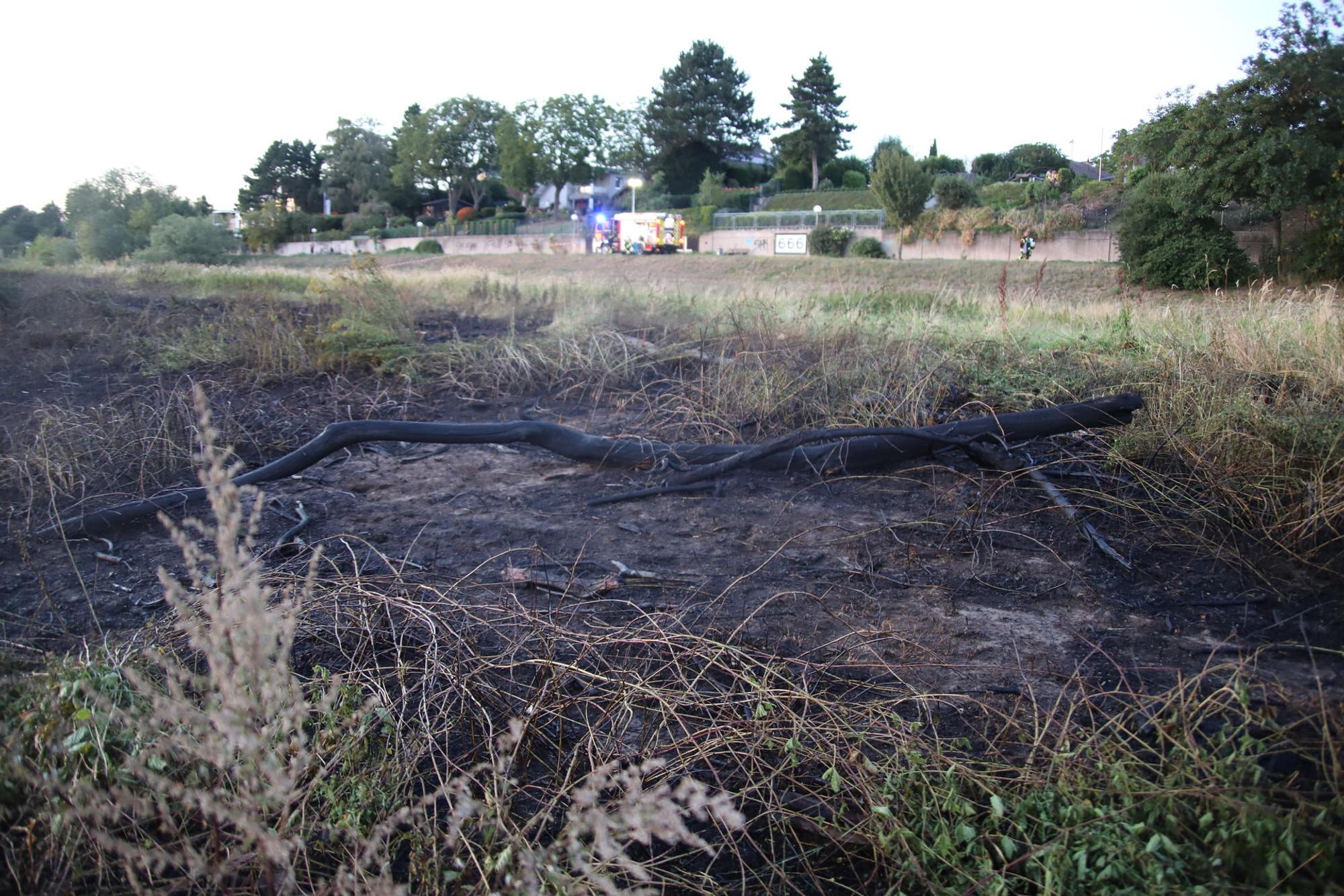 Neuer Inhalt