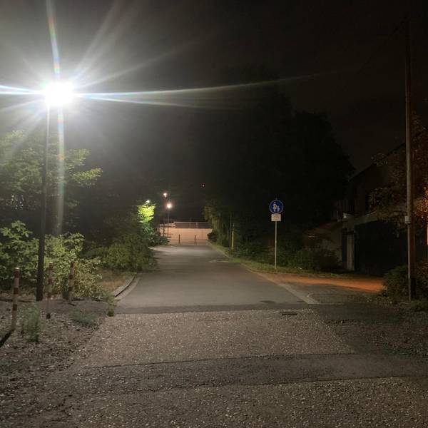 Neuer Inhalt (2)