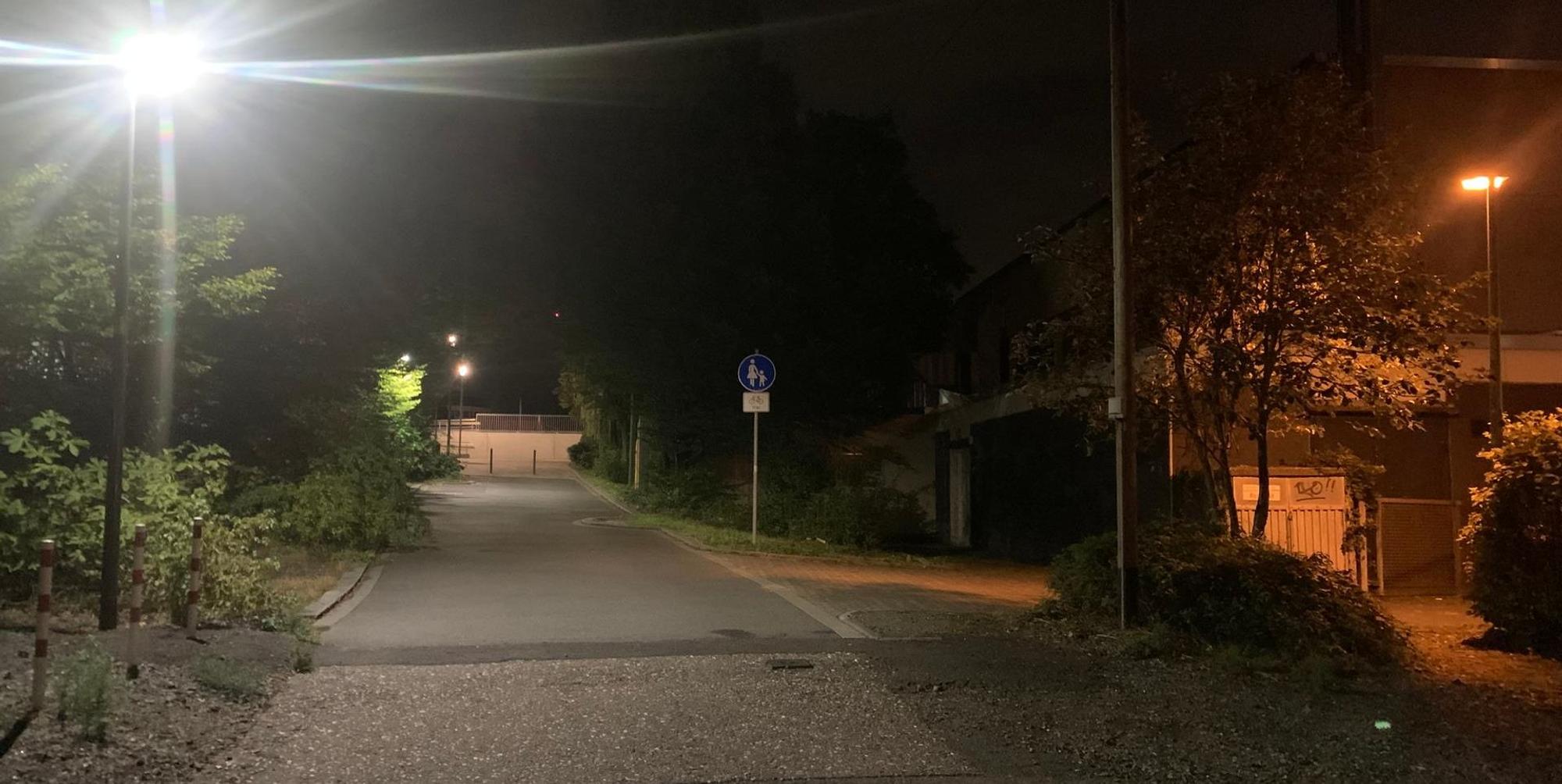 Neuer Inhalt (2)