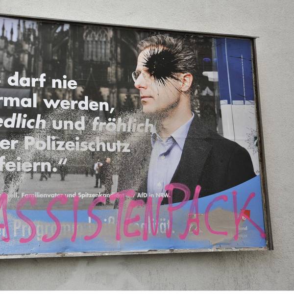 wahlplakat beschädigt nrw afd
