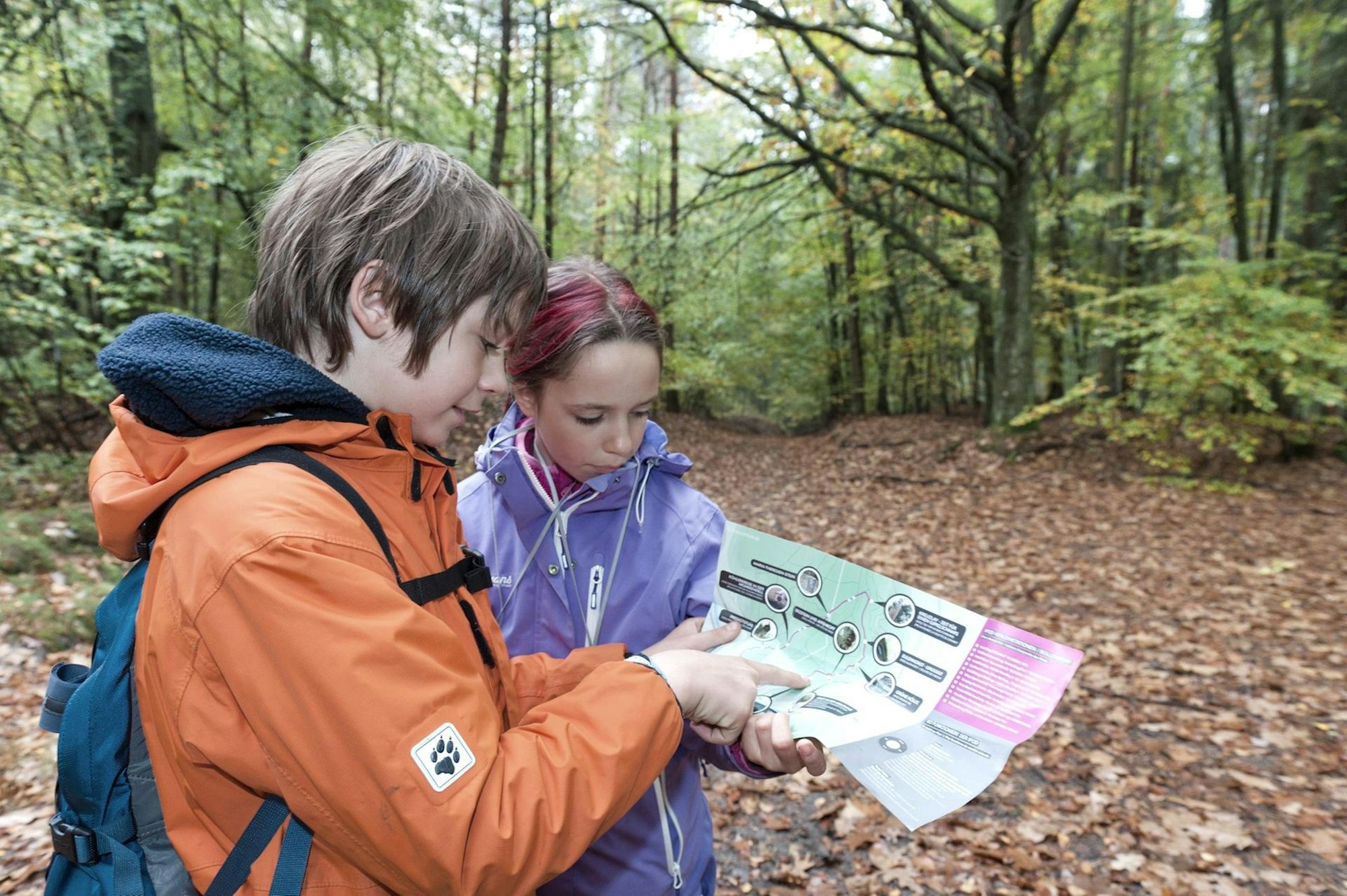 hörwanderung bollendorf wandern kids on tour