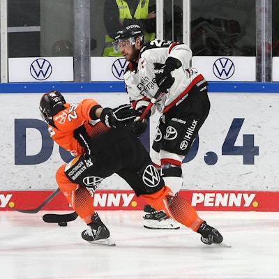 Kölner Haie Grizzly