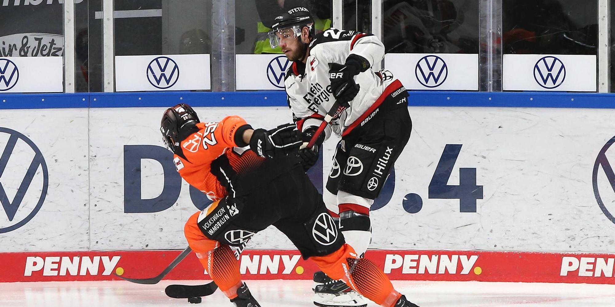 Kölner Haie Grizzly