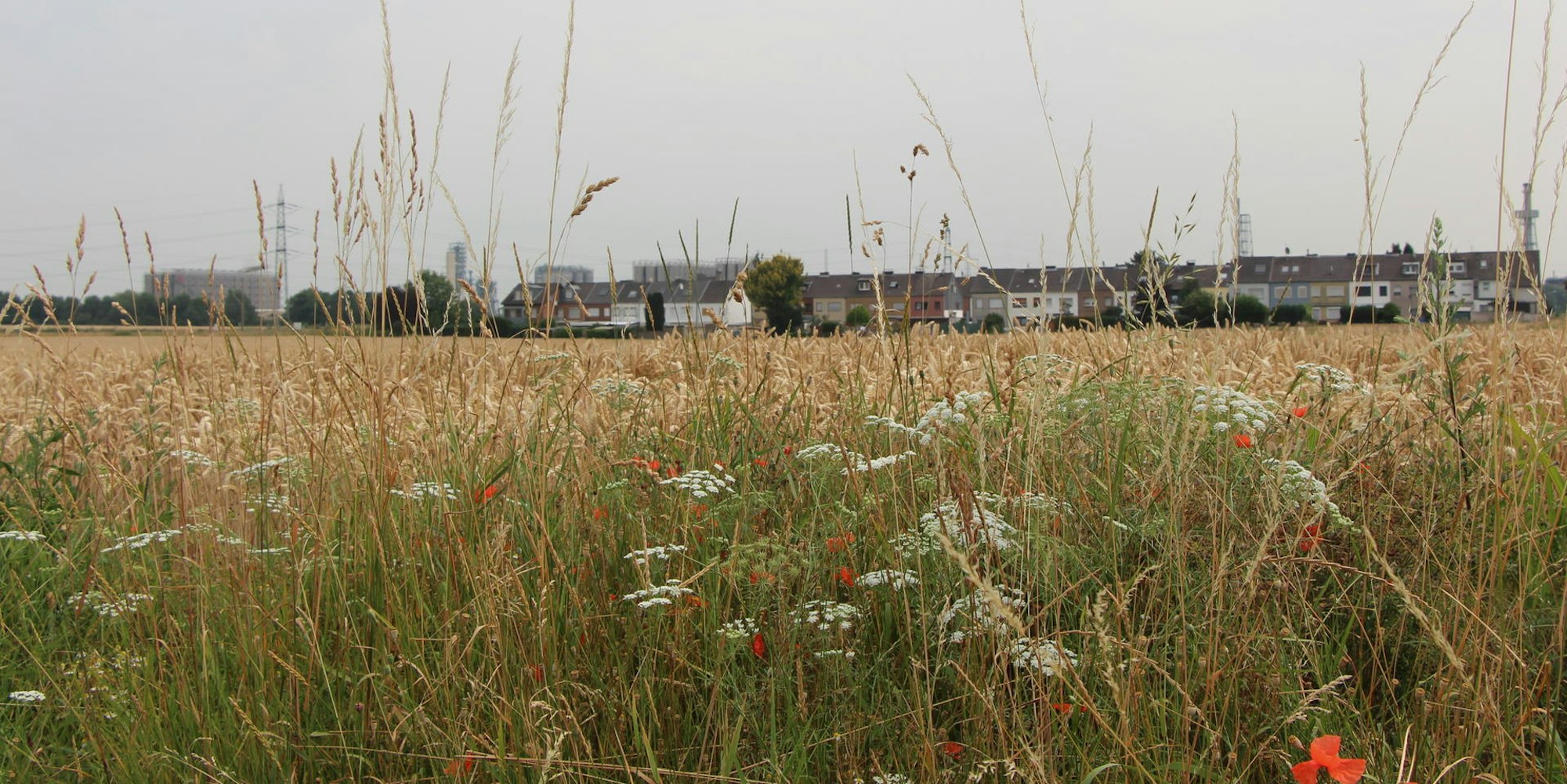 bebauung_lindenstrasse