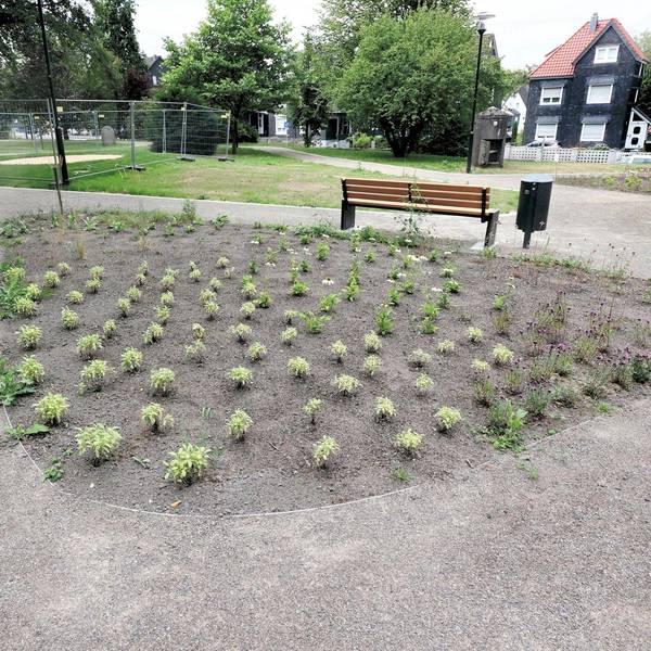 20220729_MW_ Parkanlage Burscheid 09
