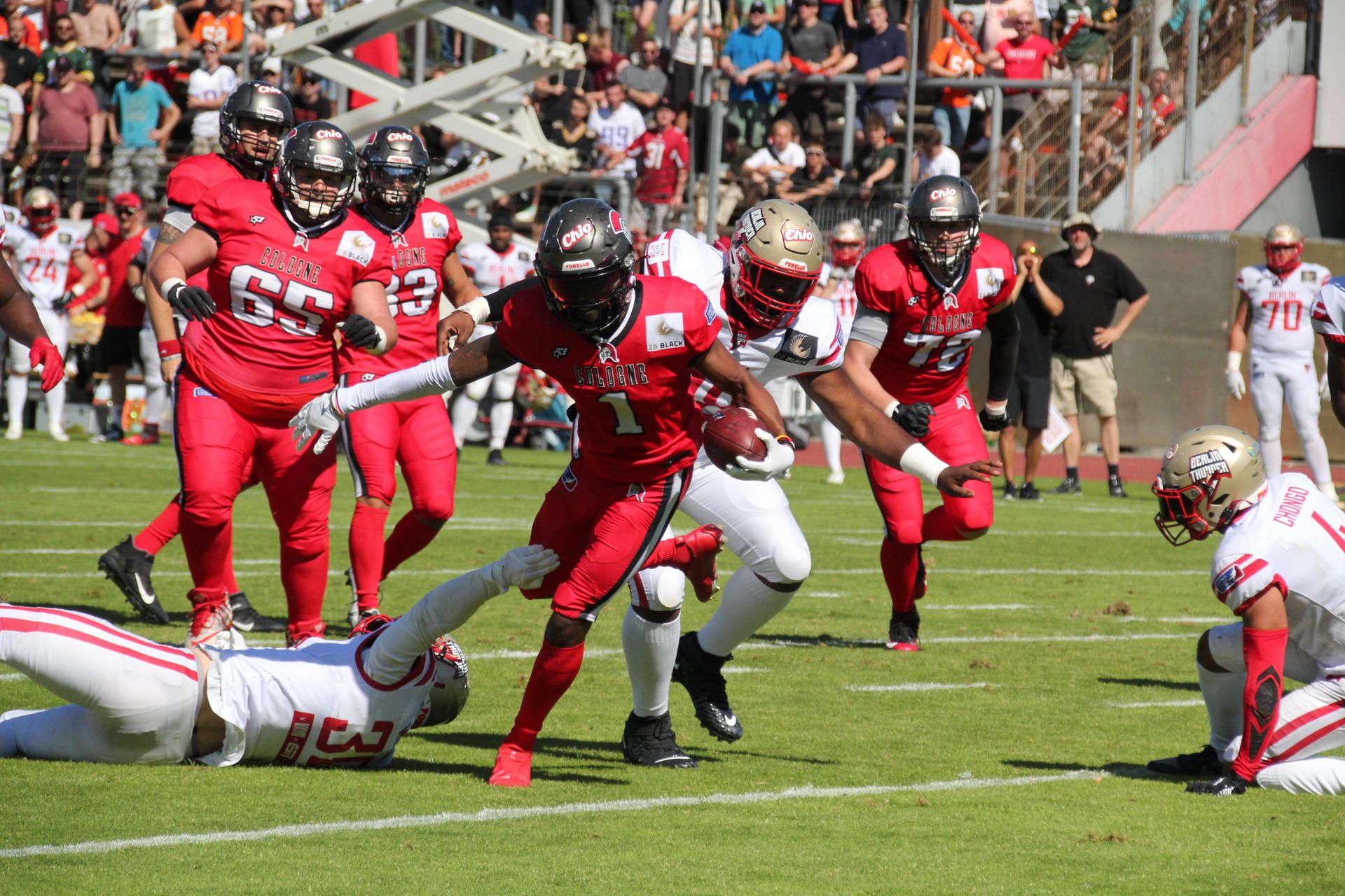 Quinten Pounds