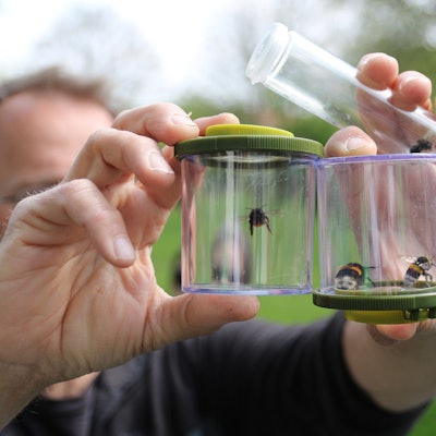 Pul-Wildbienenexkursion_002