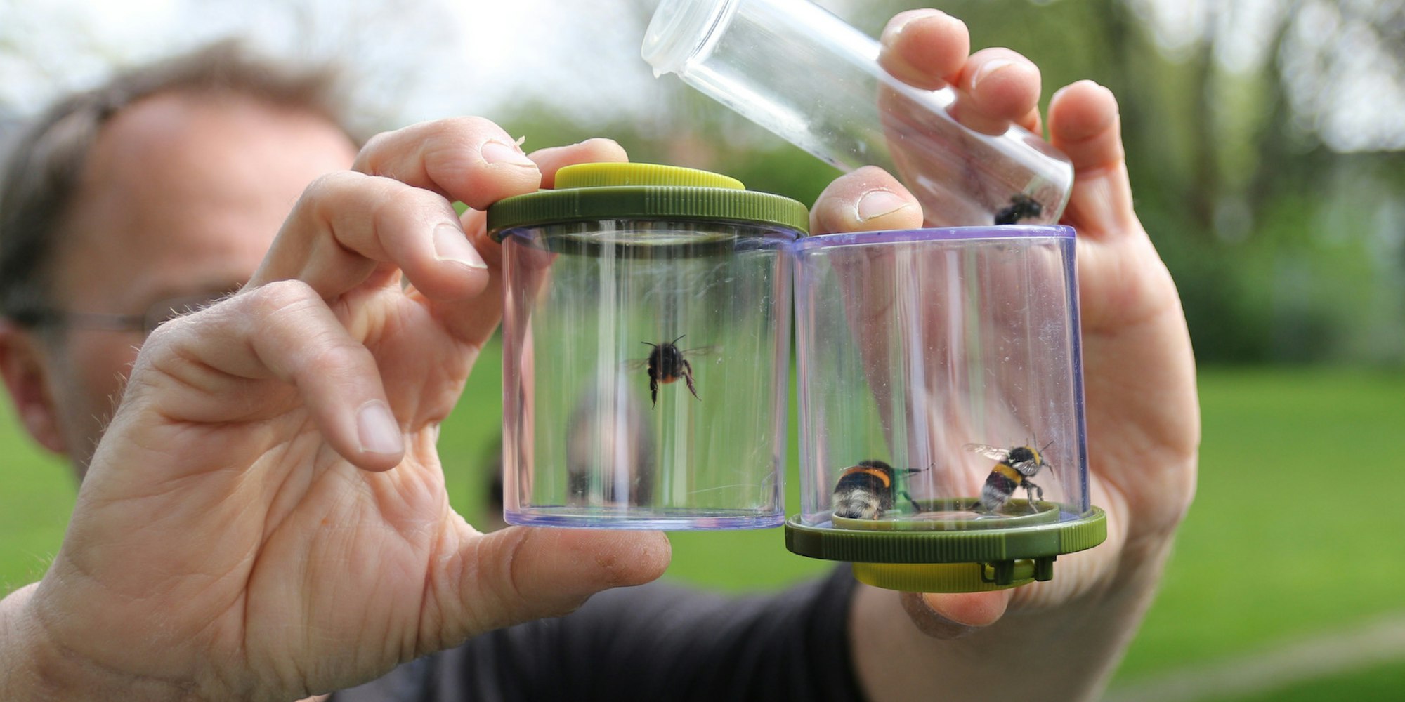 Pul-Wildbienenexkursion_002