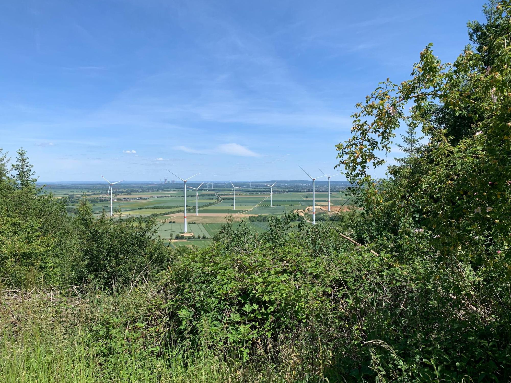Ausblick von der Sophienhöhe