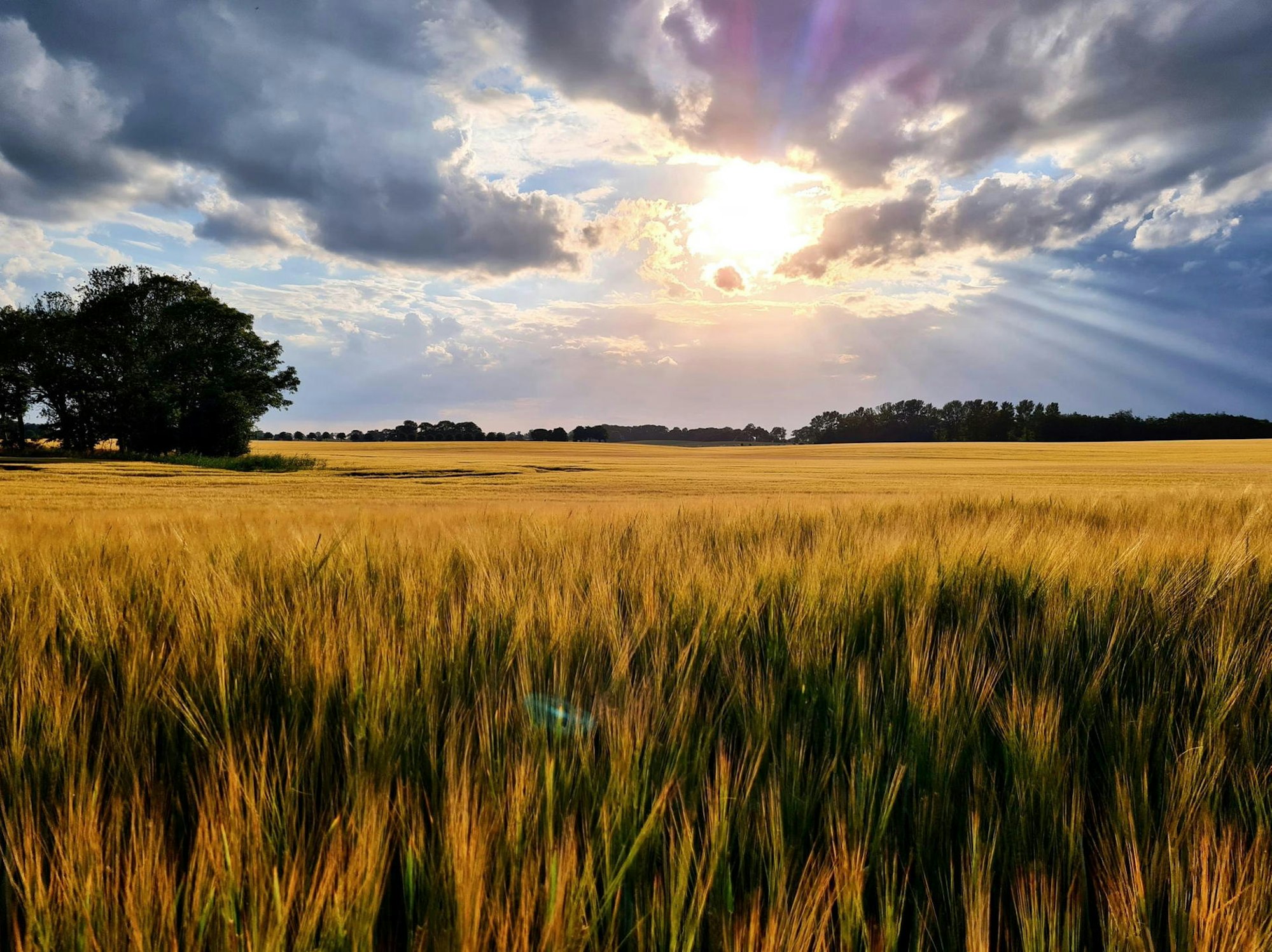 03_bourrouag-maurice-od-3