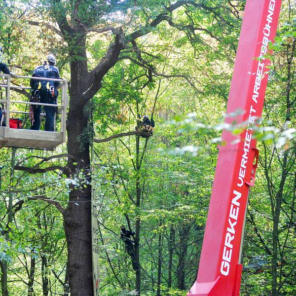 Räumung Hambacher Forst 2018