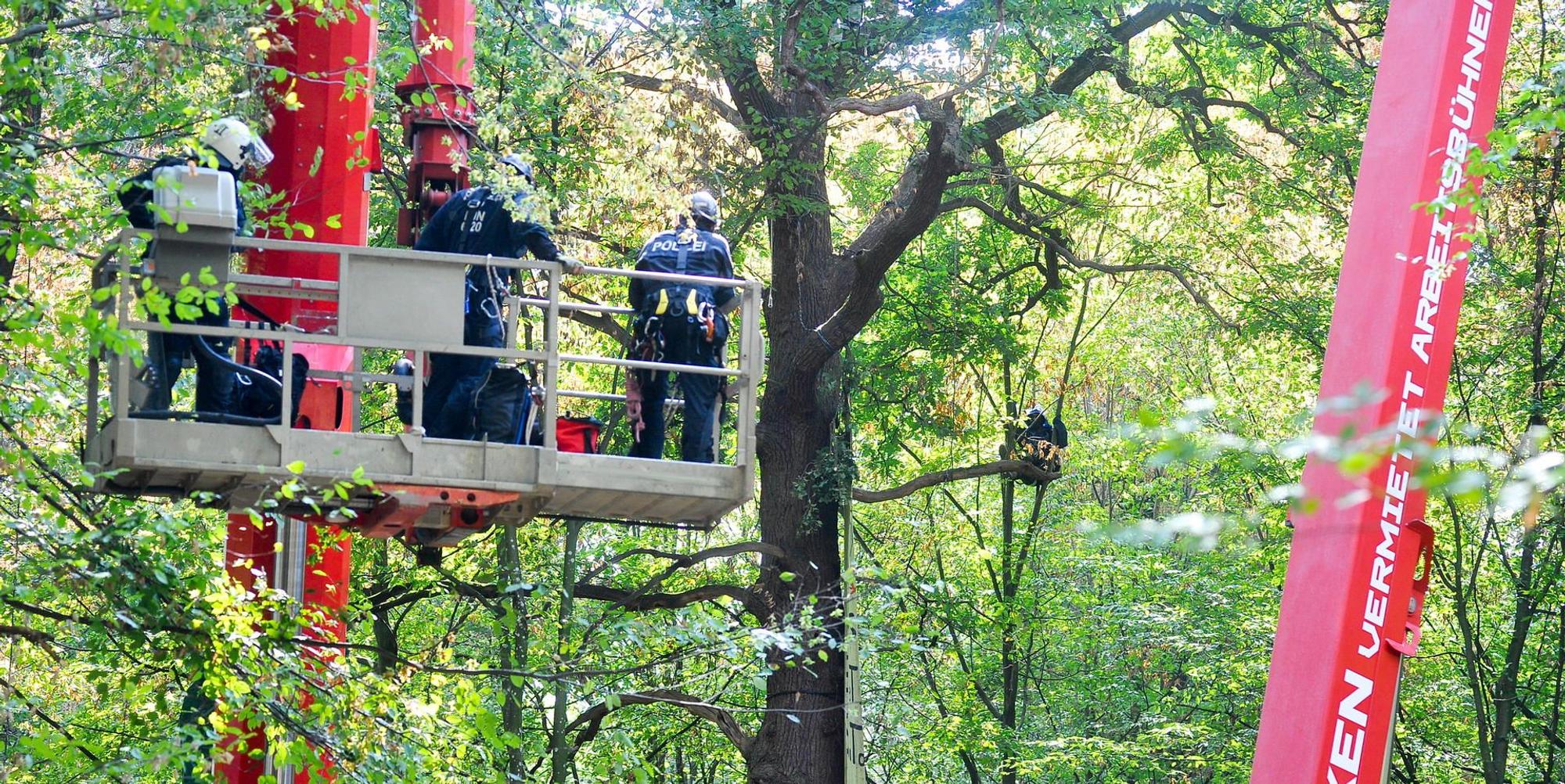 Räumung Hambacher Forst 2018