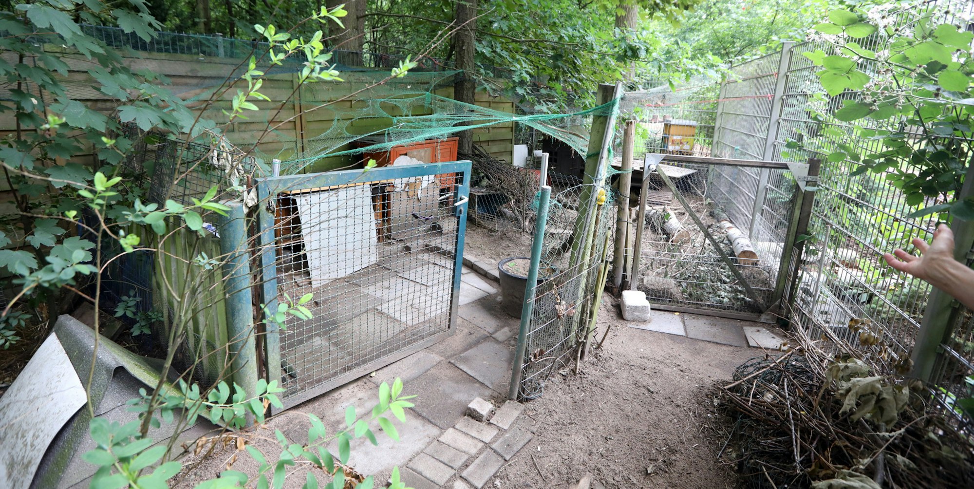 rde_KP_Grengel_Tiertötung_Schule2