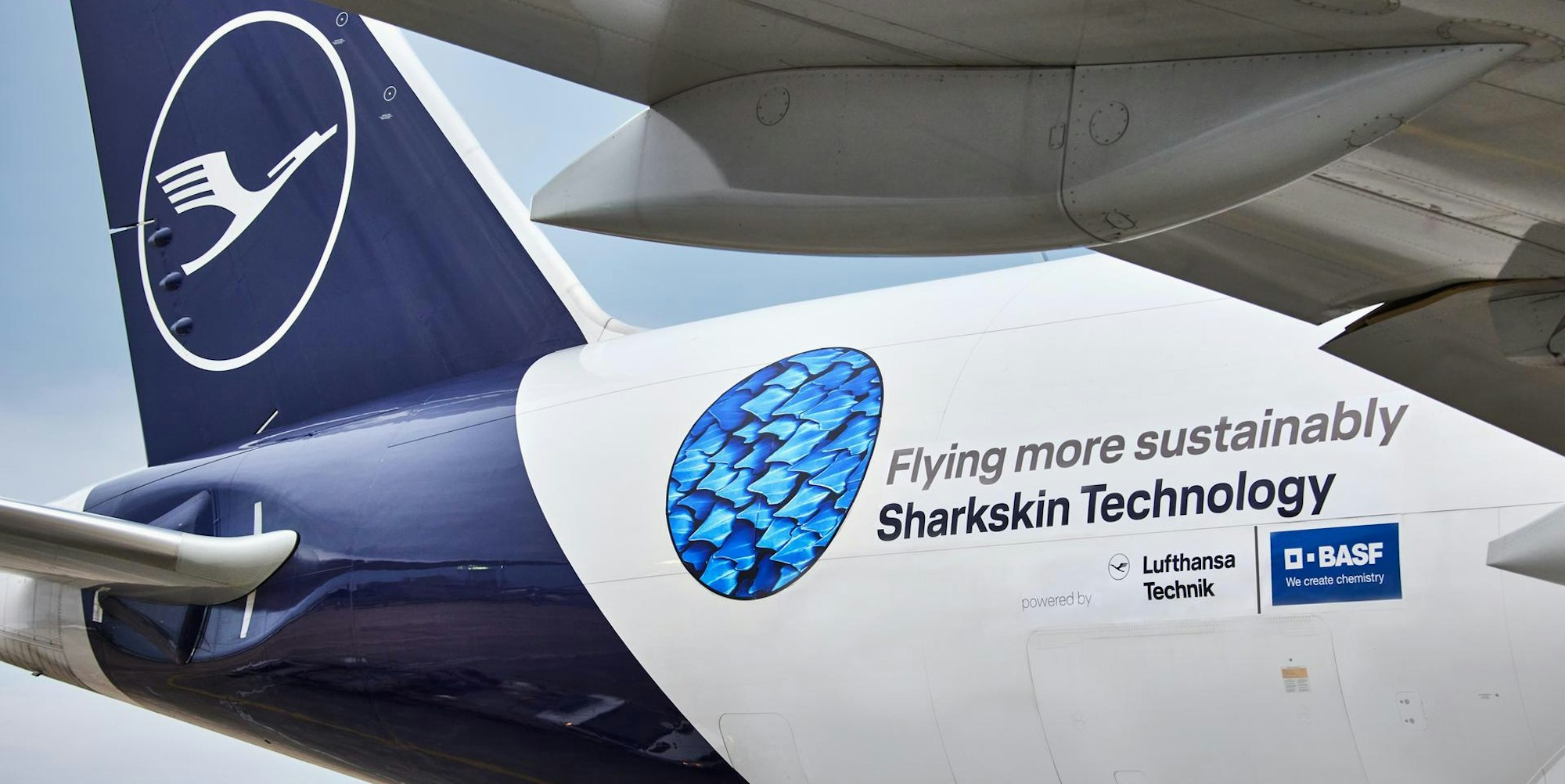 Lufthansa Haifischhaut