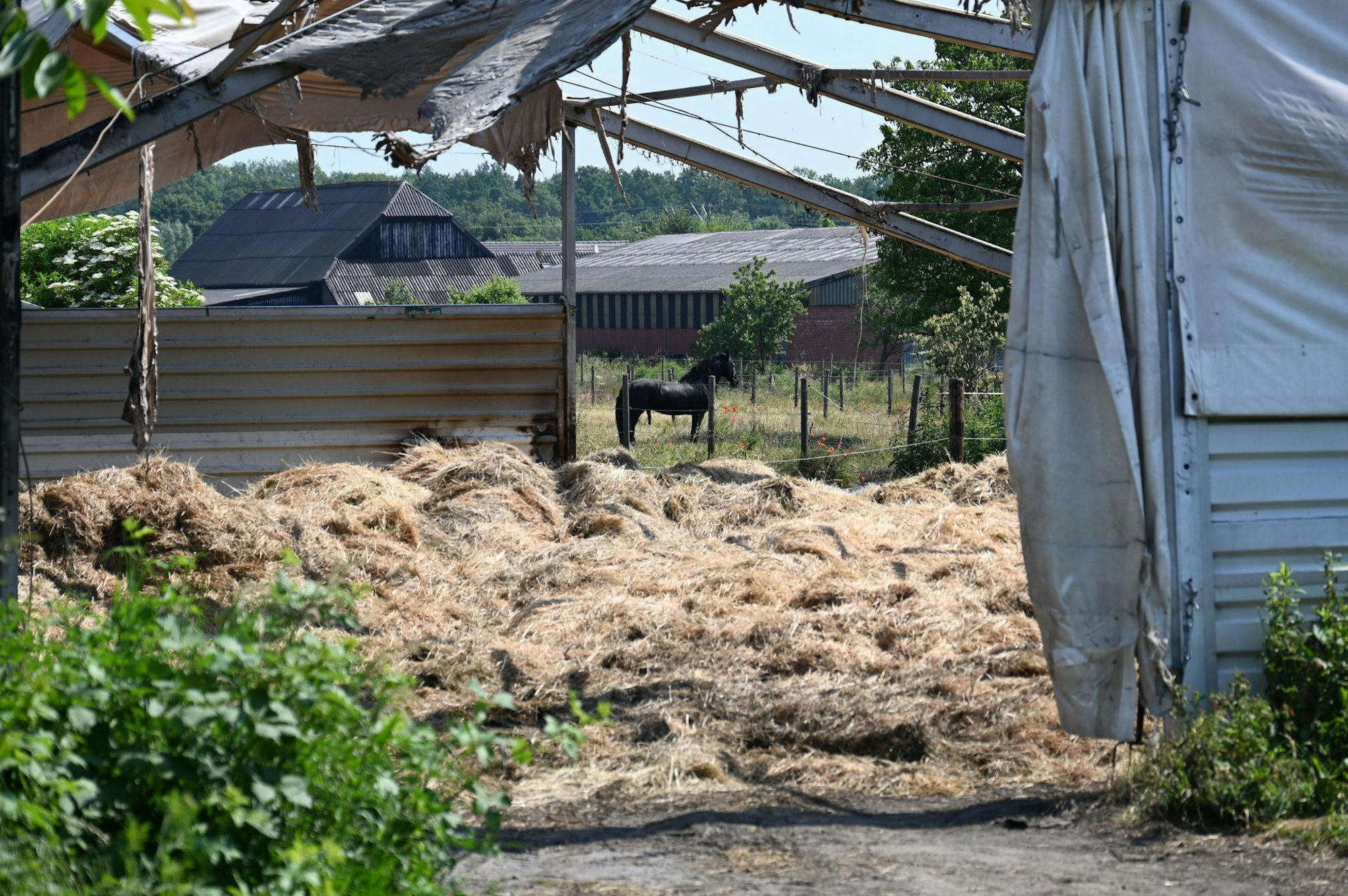 Sybillenhof Feuer II