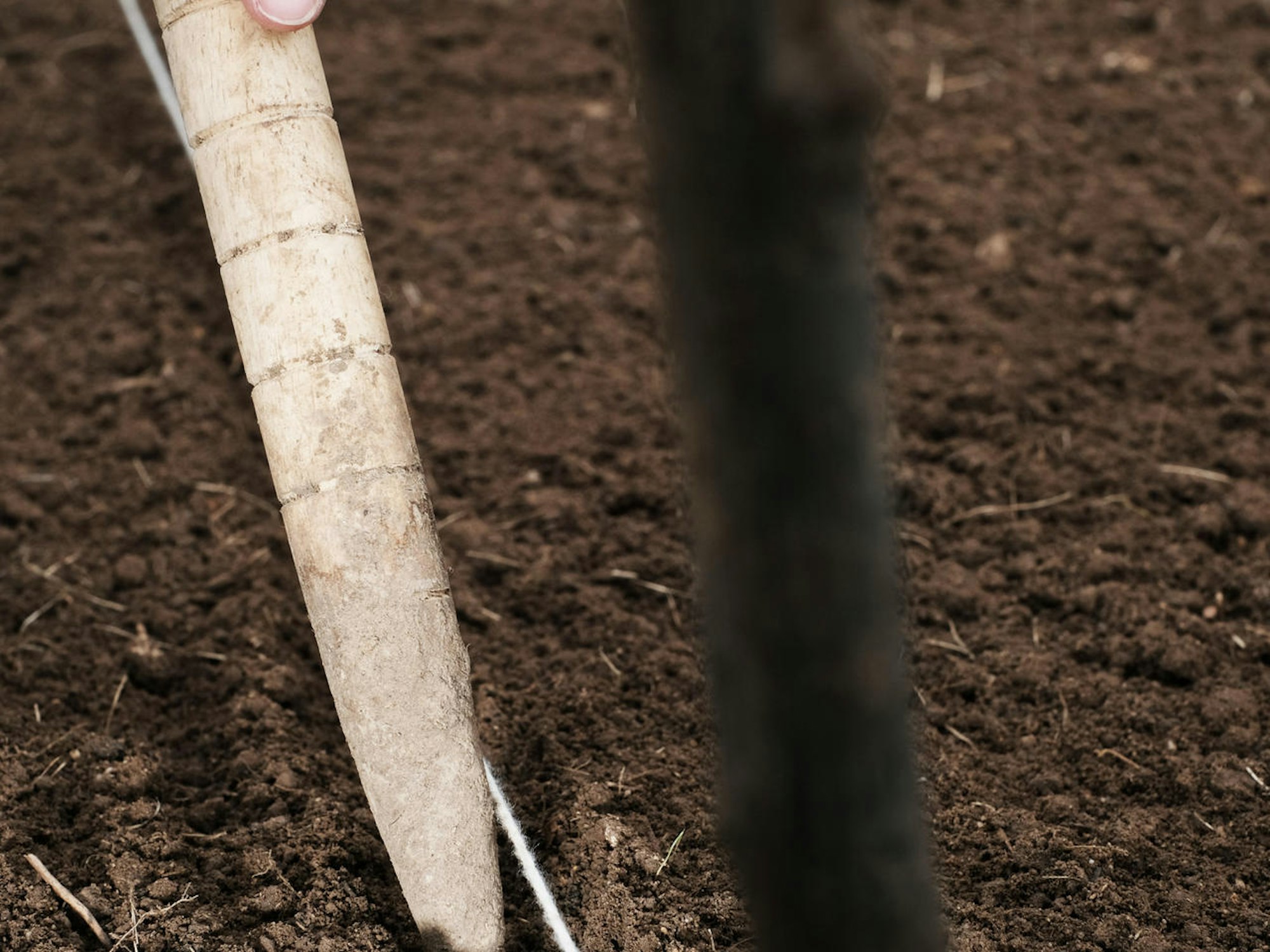 20200904-MAX-gartenkalender-13