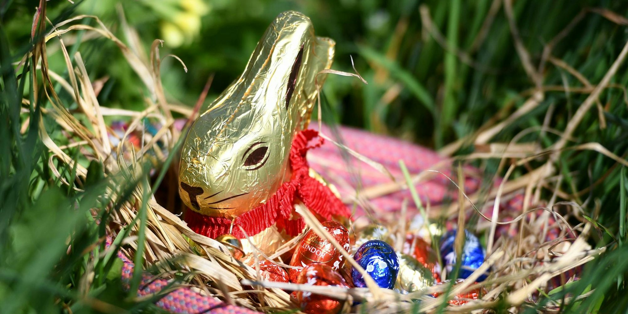 Lindt Goldhase