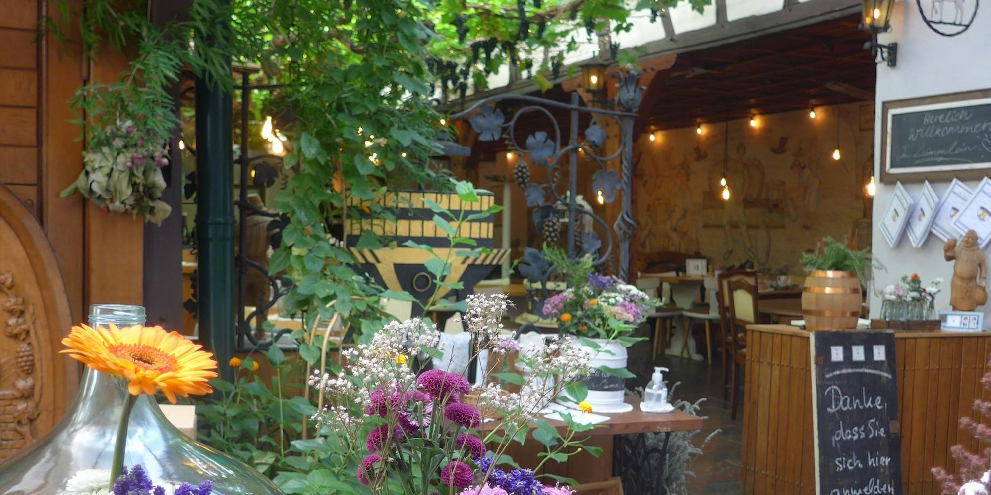 Lämmlein in Unkel Startbild (1)