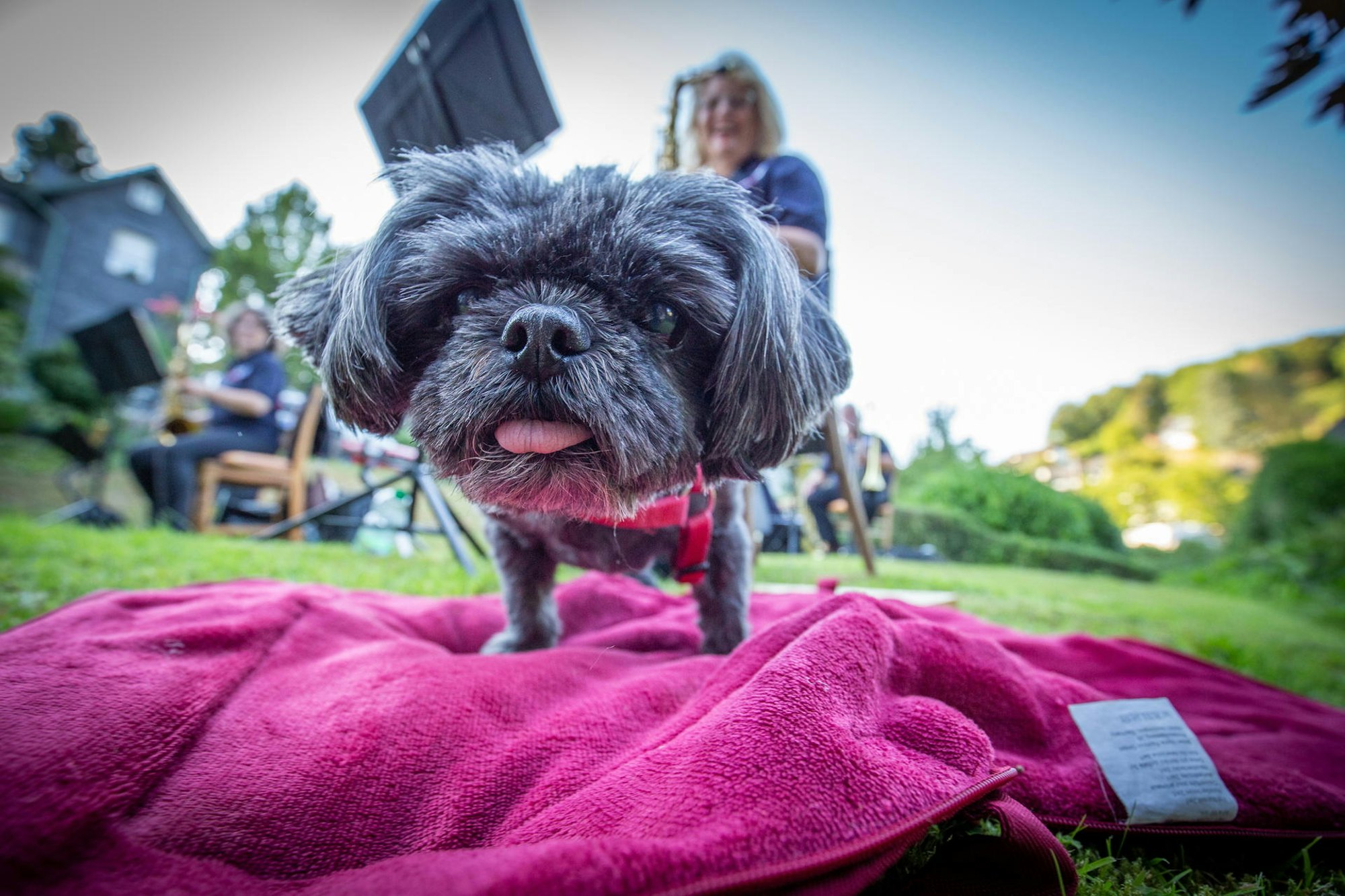 20200805-Openair-Probe-012