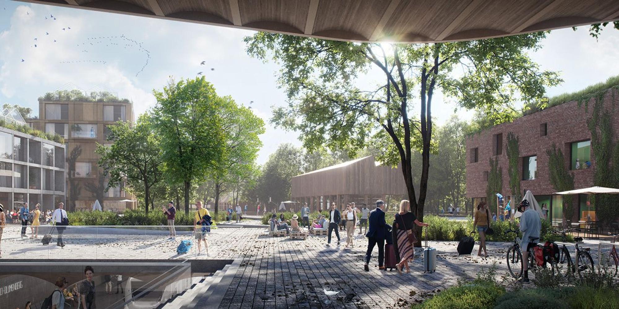 Visualisierung_Kreuzfeld