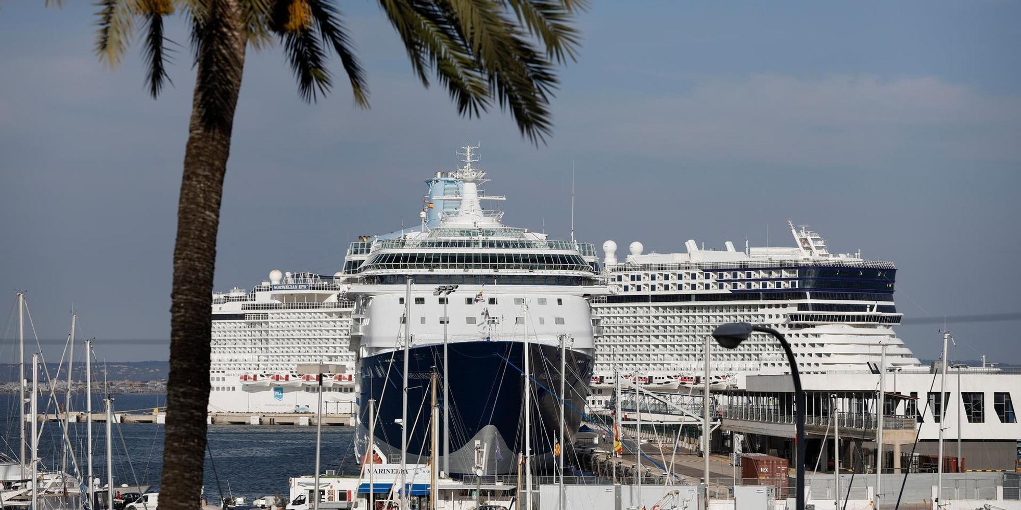 Palma Kreuzfahrtschiff dpa
