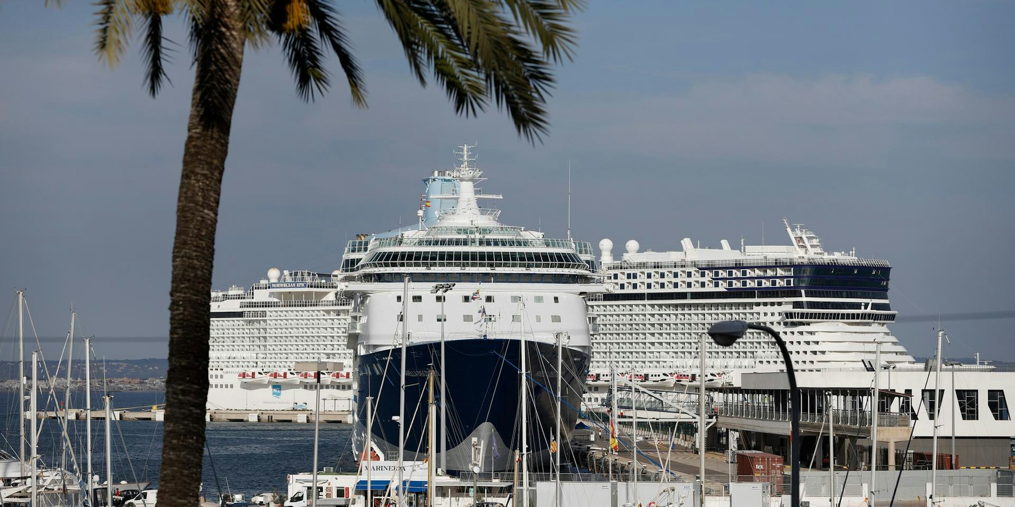 Palma Kreuzfahrtschiff dpa