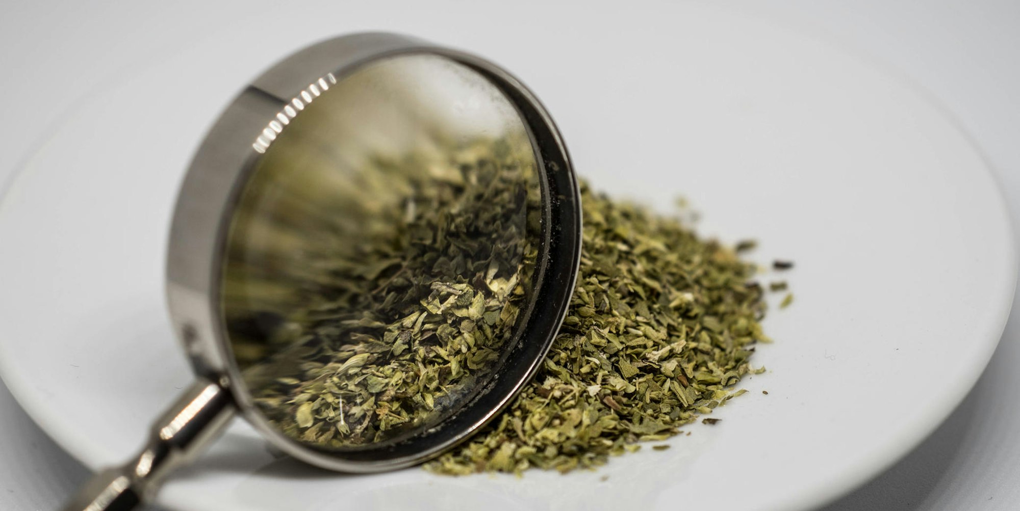 Oregano Imago