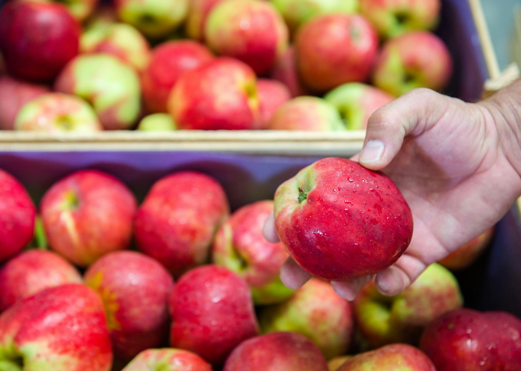 Hand_hält_Apfel_im_Geschäft