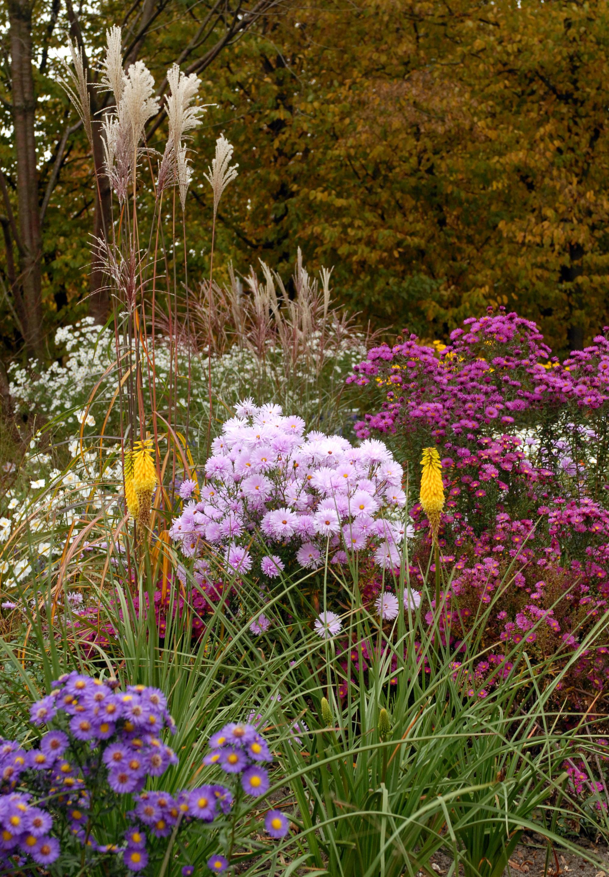Blumenbeet