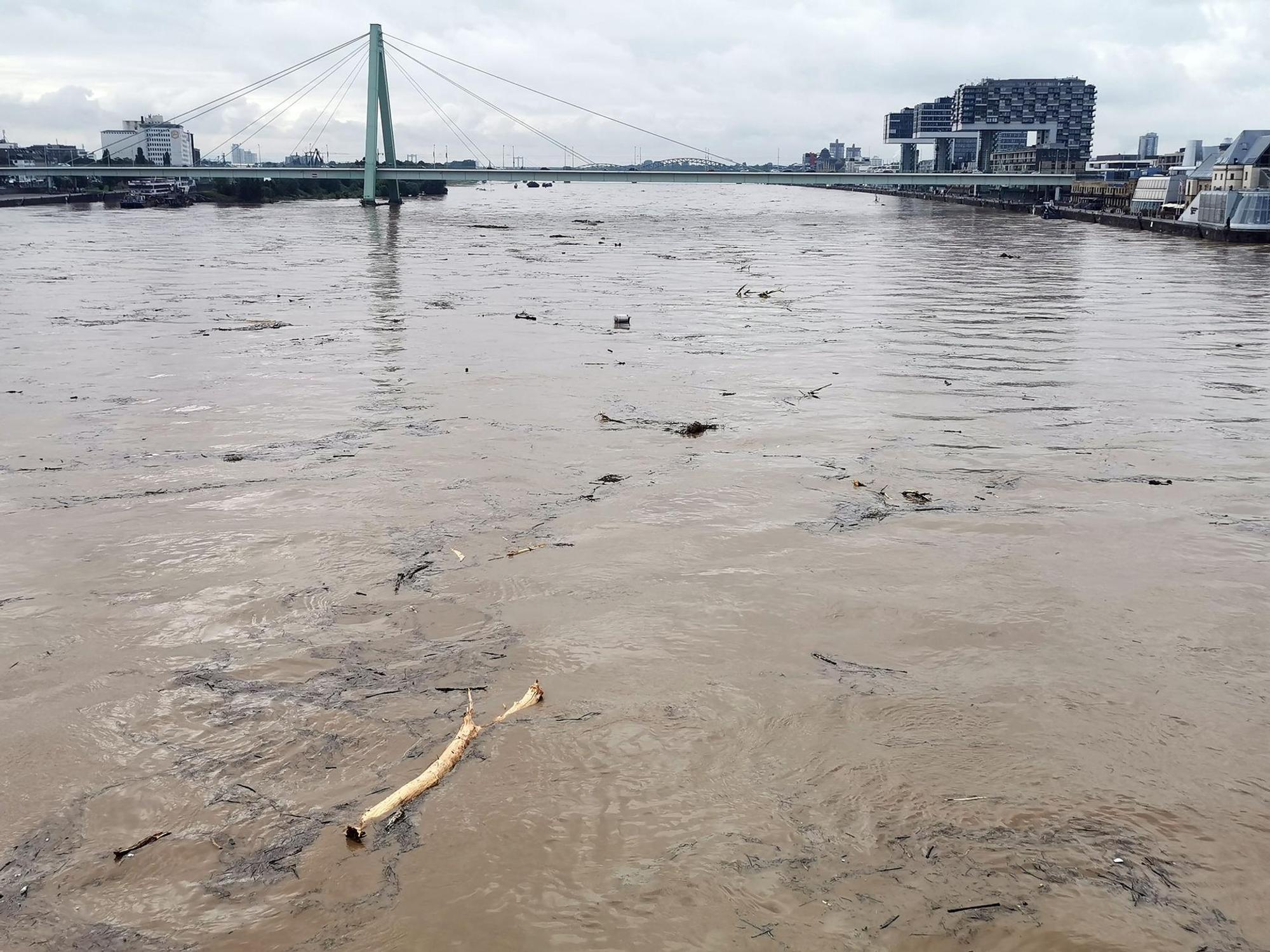 Hochwasser Köln Treibgut