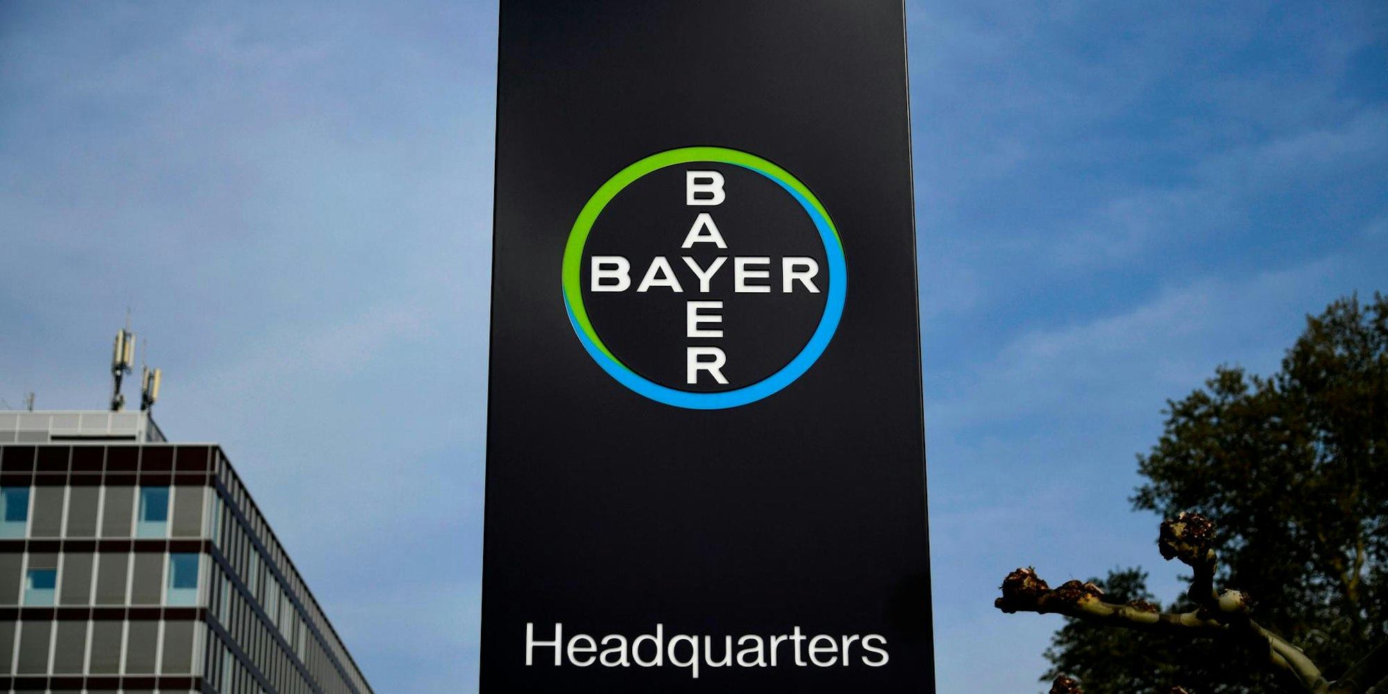 Bayer afp neu