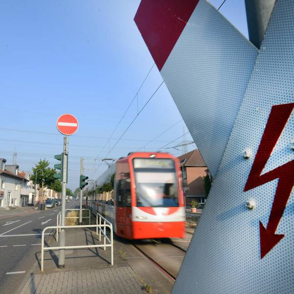 wächterampel weiden