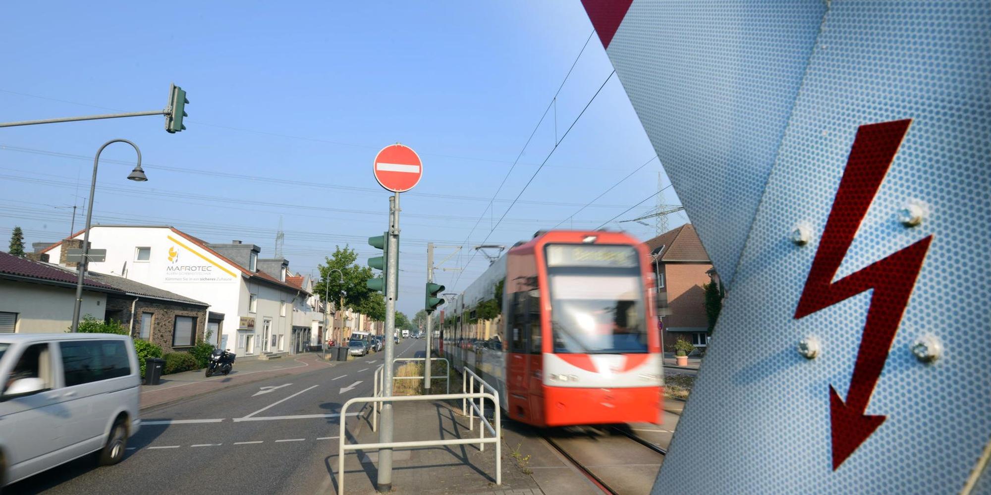 wächterampel weiden