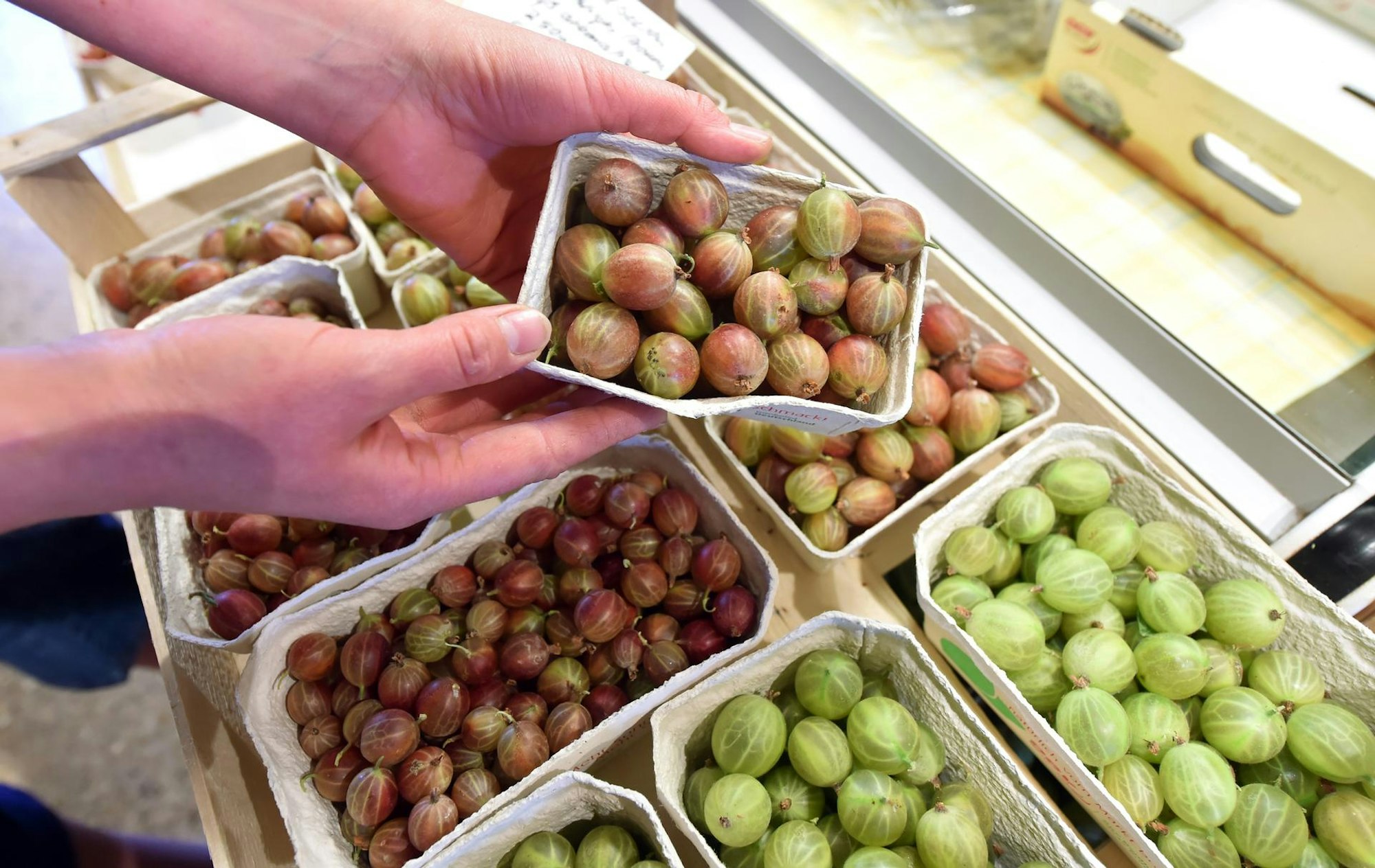 stachelbeeren schalen