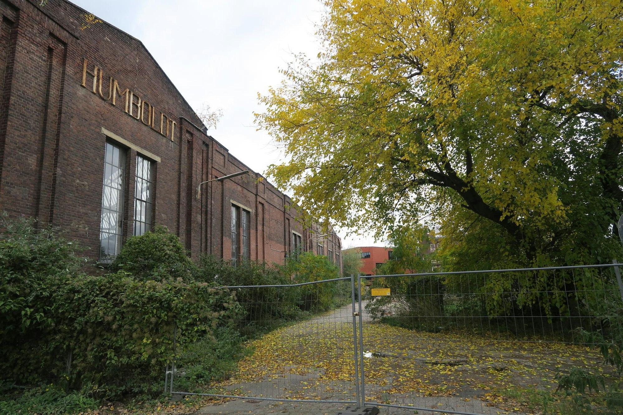 Hallen Kalk4