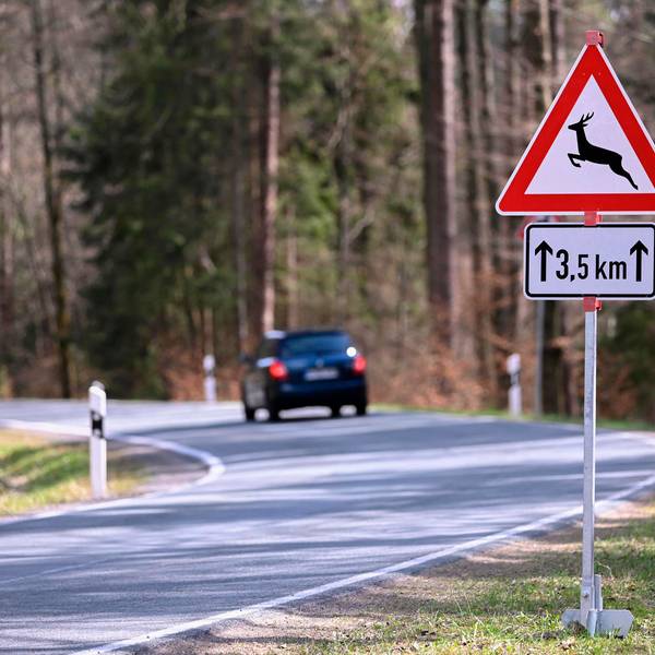 Neuer Inhalt